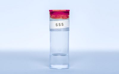 The Price of a Pandemic