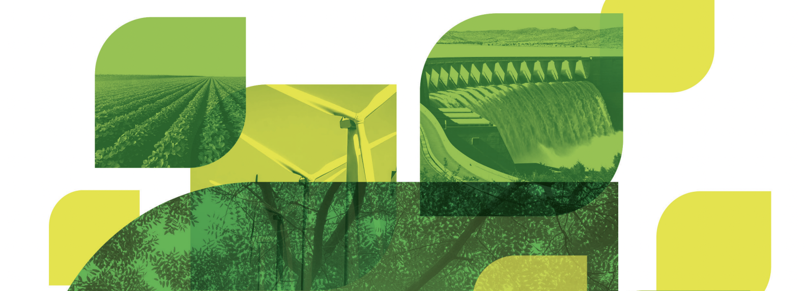 green_loan_principles