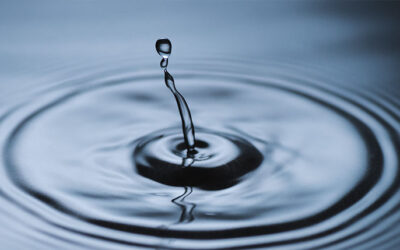 Businesses Transformed By Impact